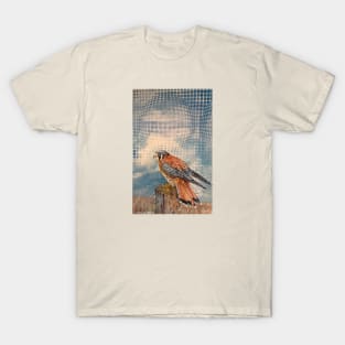 Time Traveling Hawk T-Shirt